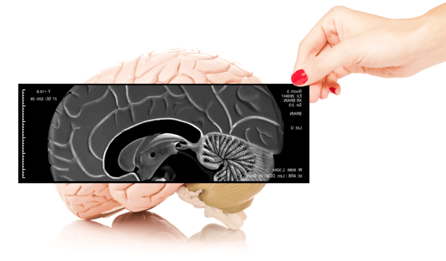 Die Aufbaustufe medizinische Grundlagen Pathologie behandelt weitgehend die Pathologien des Nervensystems